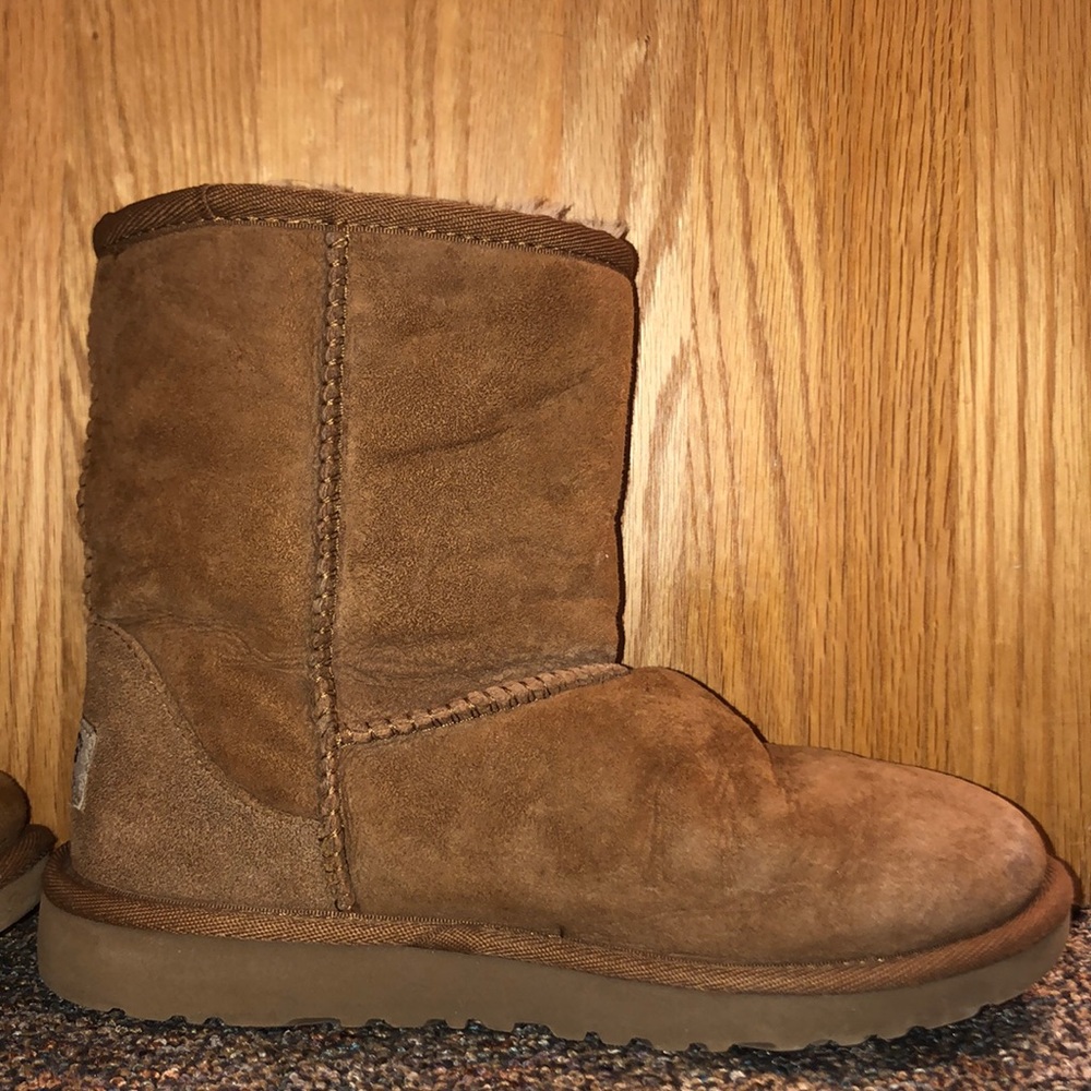 Size 3 chestnut shorts uggs